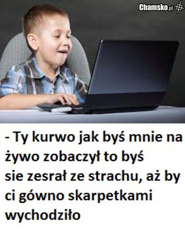 admin chamsko.pl