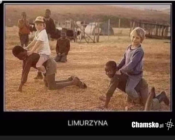 Limurzyna