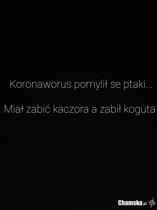 Nie ten drób
