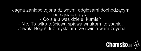 Jagna zaniepokojona dziwnymi odgłosami dochodzącymi od sąsiada, pyta: - Co się u was dzieje, kumie? - Nic. To tylko teściowa śpiewa wnukom kołysanki. - Chwała Bogu! Już myślałam, że świnia wam zdycha.