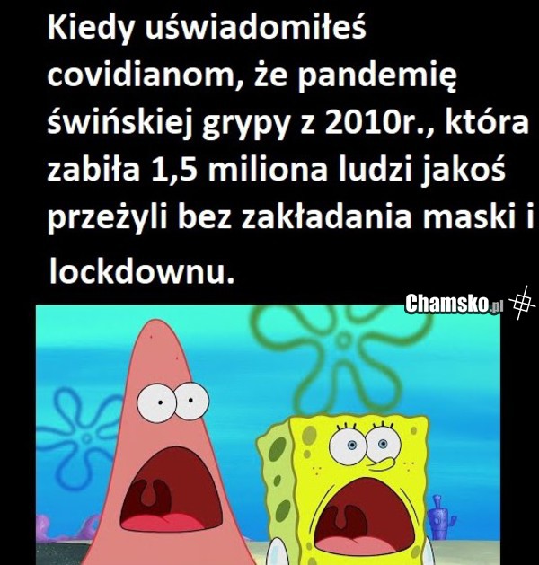 Świńska grypa