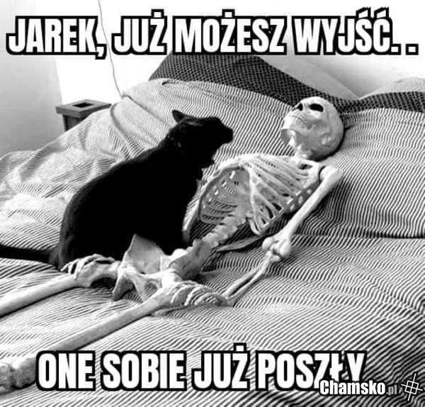 Tymczasem u Jarka