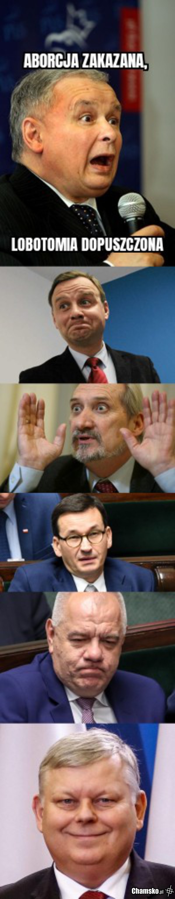 Aborcja mózgownicy