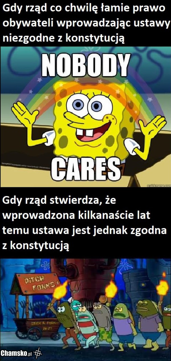 Logika polaków