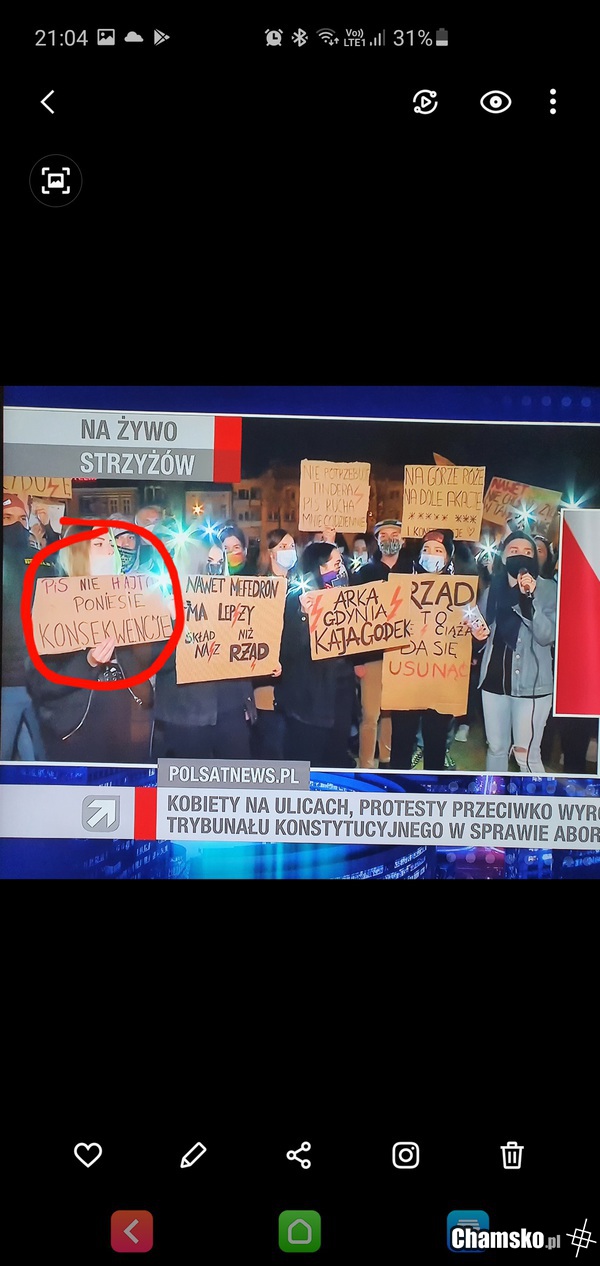 PIS nie Hajto