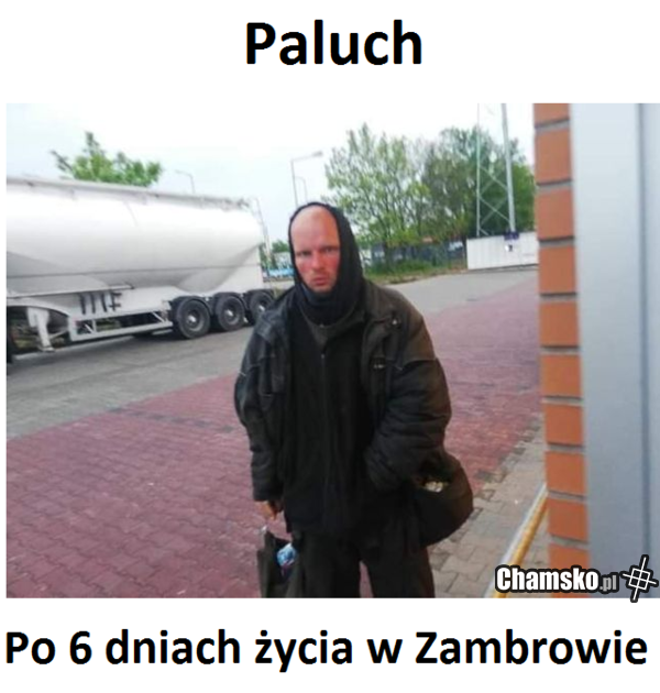 jego też dojechaliśmy