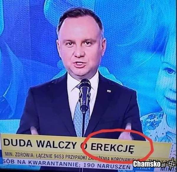 Erekcja