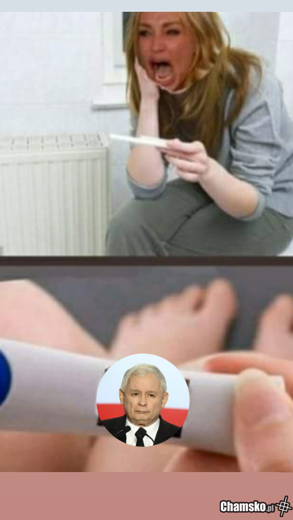 Mystejk