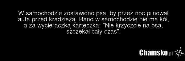 W samochodzie zostawiono psa, by przez noc pilnował auta przed kradzieżą. Rano w samochodzie nie ma kół, a za wycieraczką karteczka: "Nie krzyczcie na psa, szczekał cały czas".