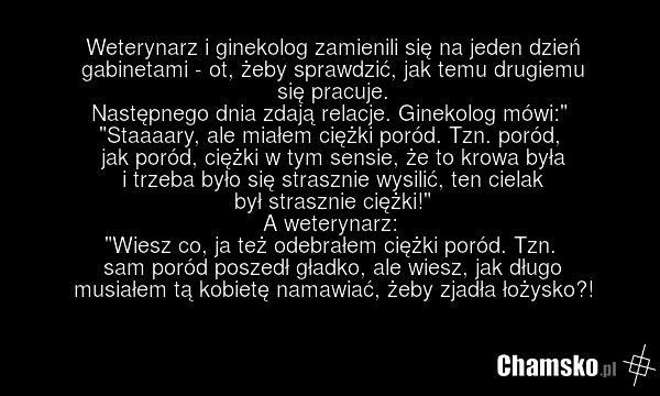 Weterynarz i ginekolog zamienili się na jeden dzień gabinetami - ot, żeby sprawdzić, jak temu drugiemu się pracuje. Następnego dnia zdają relacje. Ginekolog mówi:" "Staaaary, ale miałem ciężki poród. Tzn. poród, jak poród, ciężki w tym sensie, że to krowa była i trzeba było się strasznie wysilić, t…