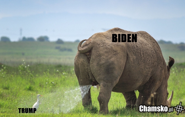 Biden vs Trump
