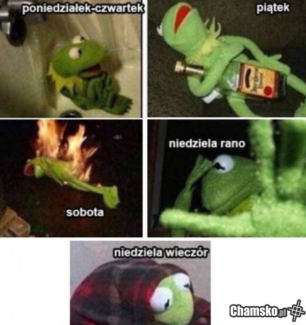 Przechlanko