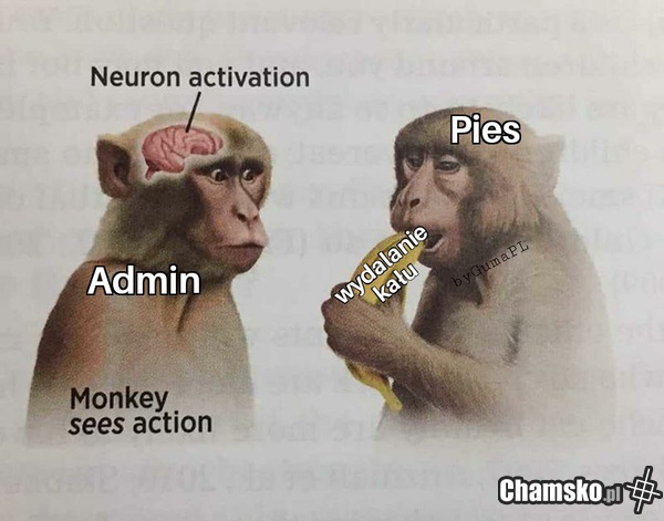 Admin