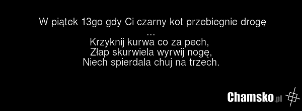 W piątek 13go gdy Ci czarny kot przebiegnie drogę ... Krzyknij kurwa co za pech, Złap skurwiela wyrwij nogę, Niech spierdala chuj na trzech.