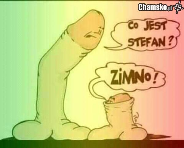 twój fiut już niedługo