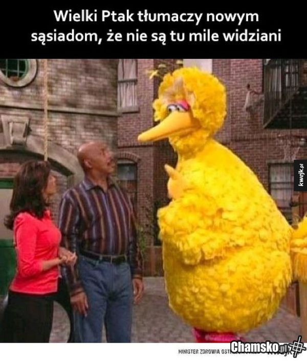 Ptak i Sąsiedzi