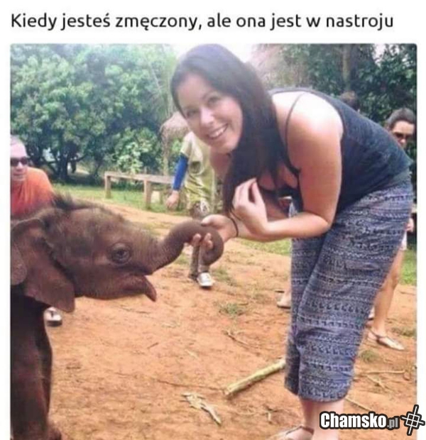 Jumbo Impotento