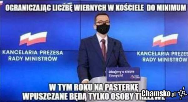 Selekcja