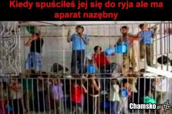 Aparatka