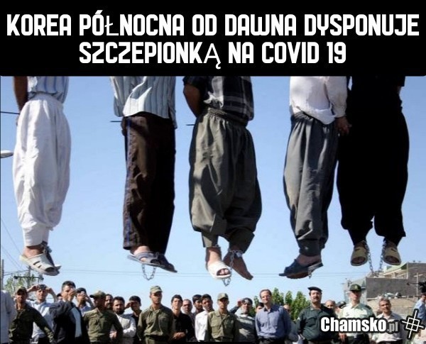 Naukowcy z Korei