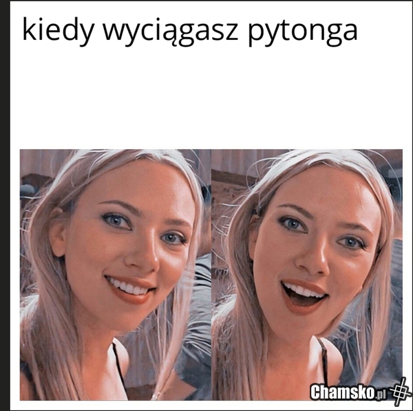 Pytong