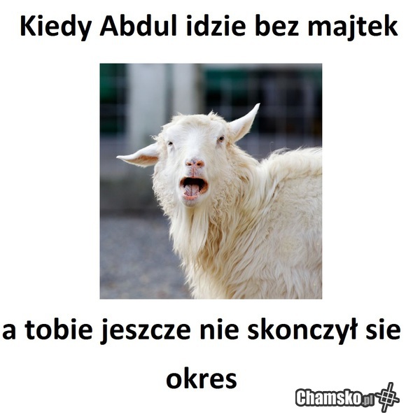 kozojebca