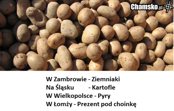 łomża cz. XII - ŁOMŻA KURWO