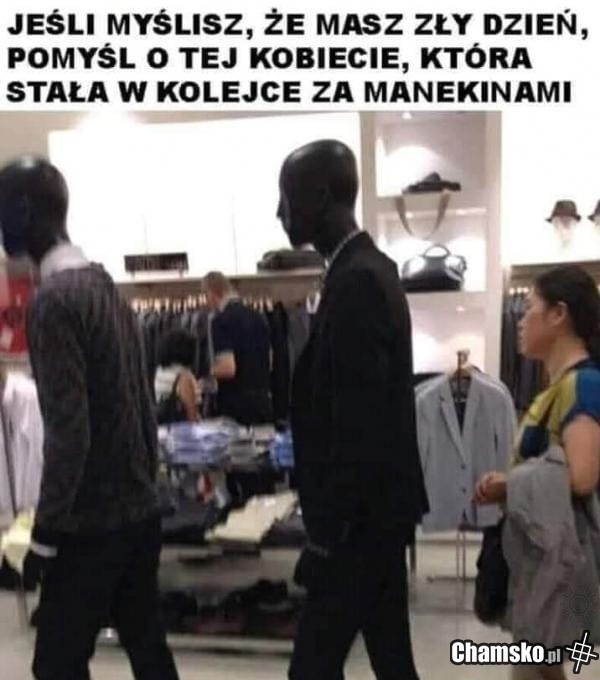 głupia cipa