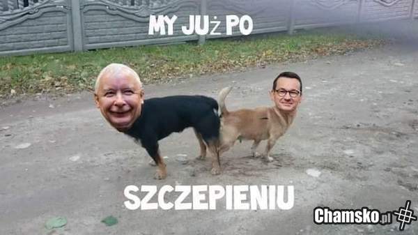 Szczepieni