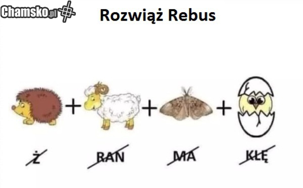 Rebus