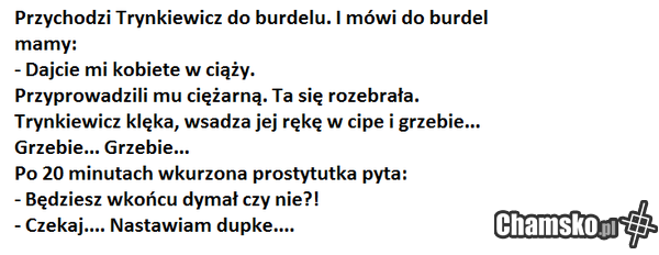 Tryn Tryn. Kto tam?