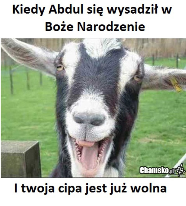 kozojebca