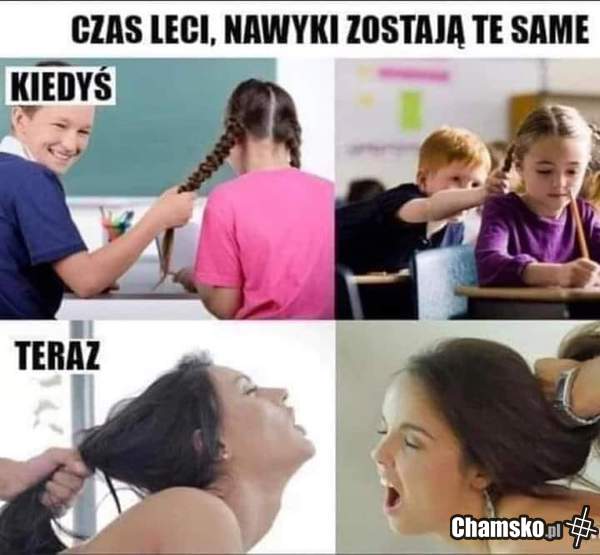 Nawyki