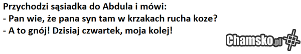 kozojebca