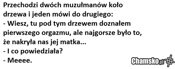 kozojebca