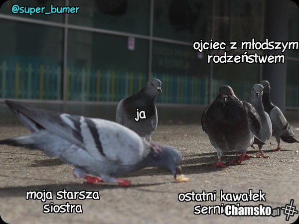 Też tak macie?