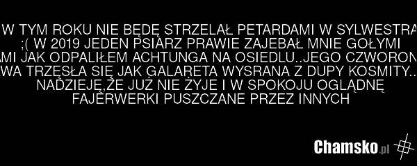W TYM ROKU NIE BĘDĘ STRZELAŁ PETARDAMI W SYLWESTRA ;( W 2019 JEDEN PSIARZ PRAWIE ZAJEBAŁ MNIE GOŁYMI RĘKAMI JAK ODPALIŁEM ACHTUNGA NA OSIEDLU..JEGO CZWORONOŻNA KURWA TRZĘSŁA SIĘ JAK GALARETA WYSRANA Z DUPY KOSMITY..MAM NADZIEJĘ,ŻE JUŻ NIE ŻYJE I W SPOKOJU OGLĄDNĘ FAJERWERKI PUSZCZANE PRZEZ INNYCH