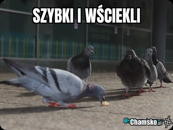 A może szybki i wku@wieni