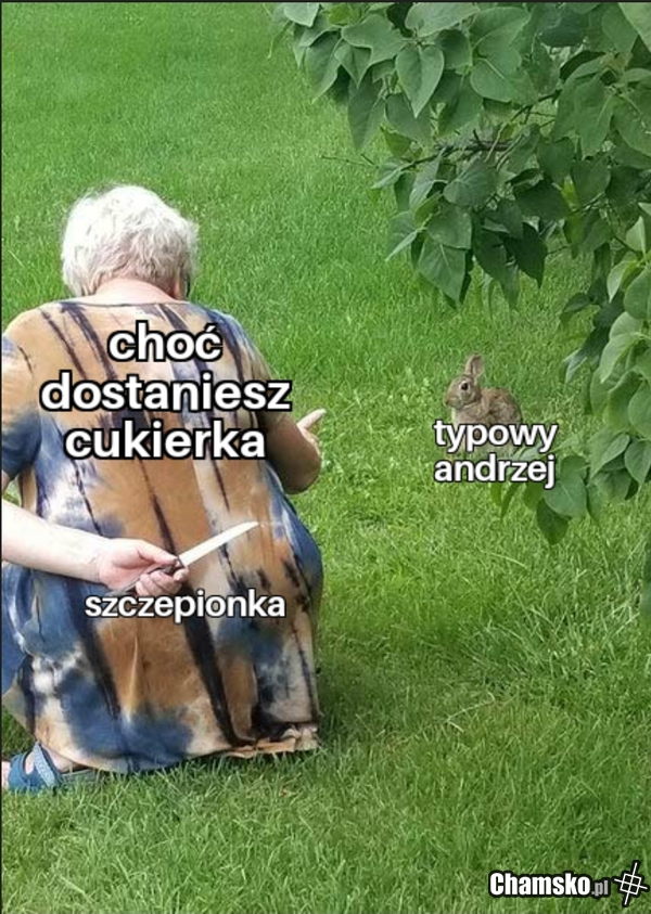 Andrzej