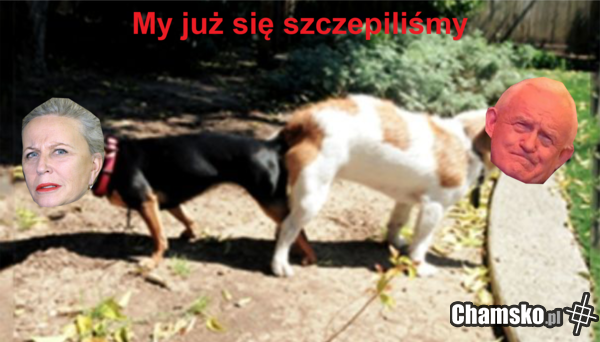 Dupami na pewno...