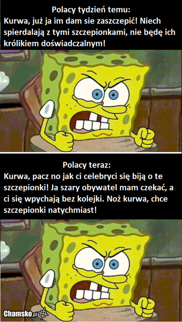 Każda afera ma swój cel
