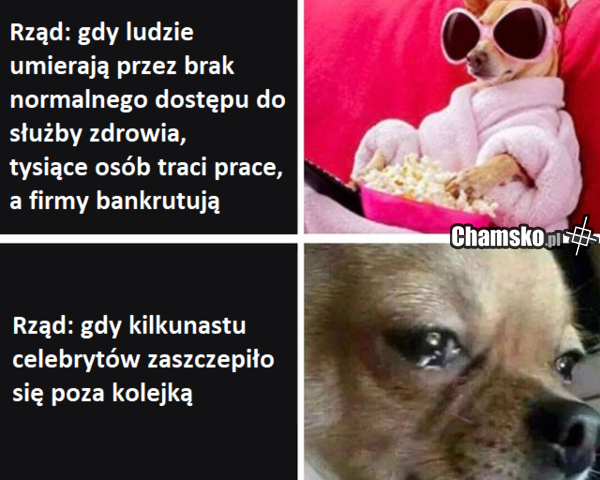 Rząd w rozpaczy przez zachowanie celebrytów