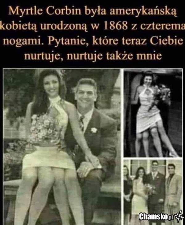 Też o tym pomyśleliście...?