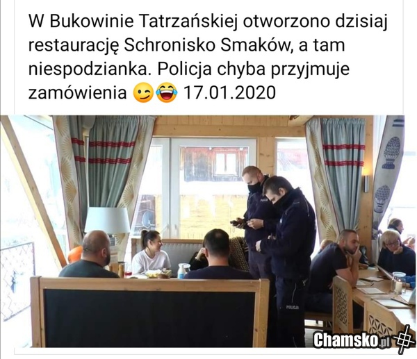 Psi kelnerzy