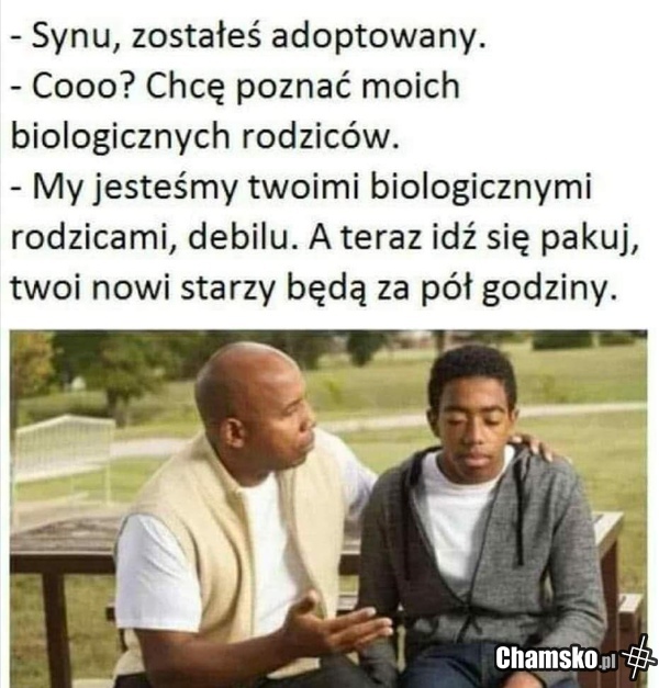 Zostałeś adoptowany