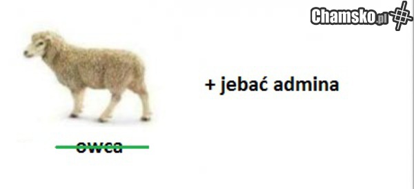 Rebus