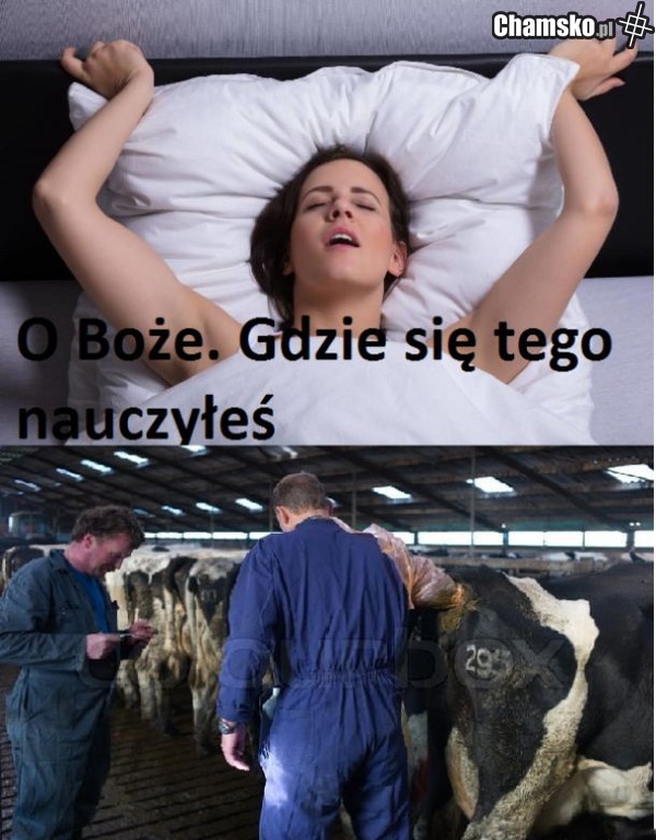 z żoną admina