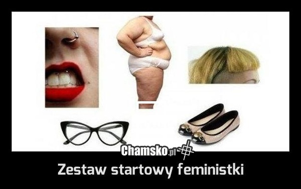 Feminolożki
