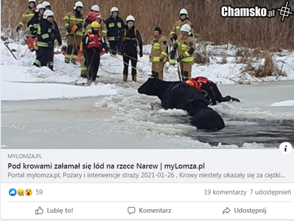 w MIEŚCIE łomża