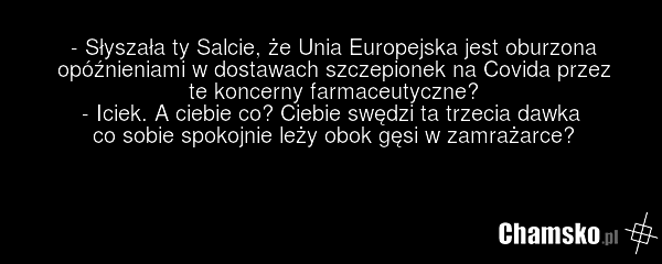 - Słyszała ty Salcie, że Unia Europejska jest oburzona opóźnieniami w dostawach szczepionek na Covida przez te koncerny farmaceutyczne? - Iciek. A ciebie co? Ciebie swędzi ta trzecia dawka co sobie spokojnie leży obok gęsi w zamrażarce?